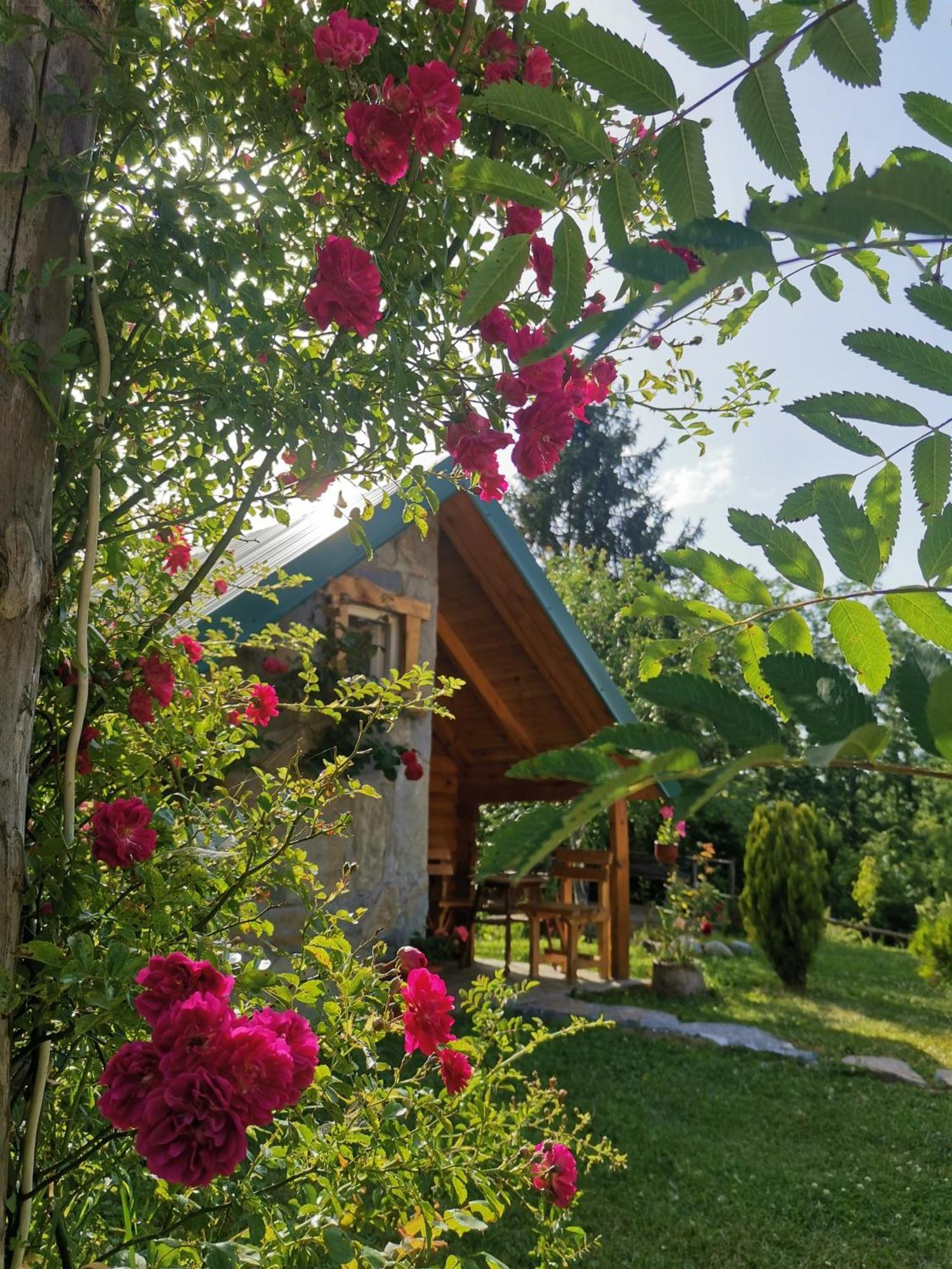 Gazela Bungalov 1 Mojkovac Luaran gambar